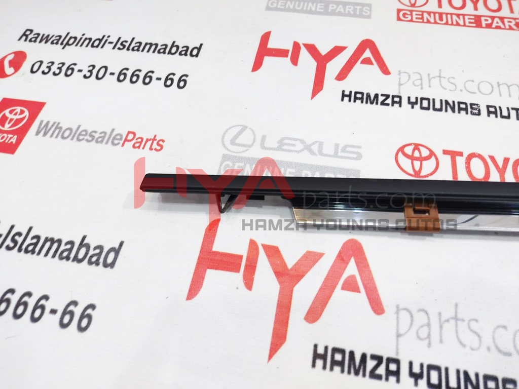 MOULDING ASSY, REAR DOOR BELT, LH