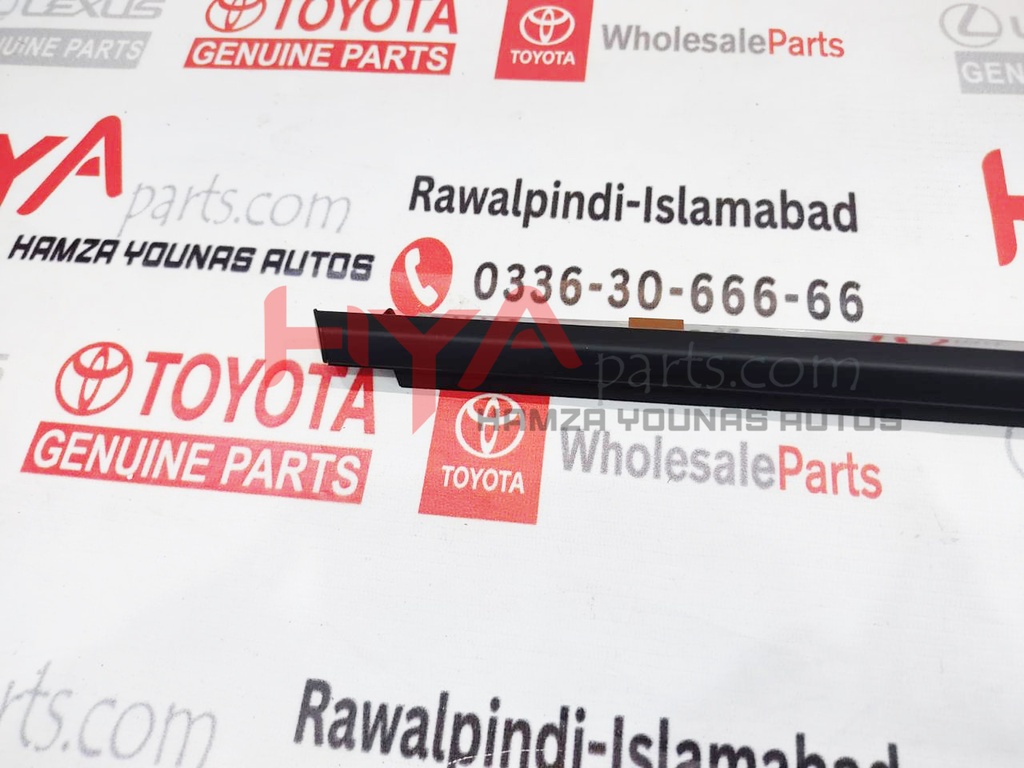 MOULDING ASSY, REAR DOOR BELT, LH