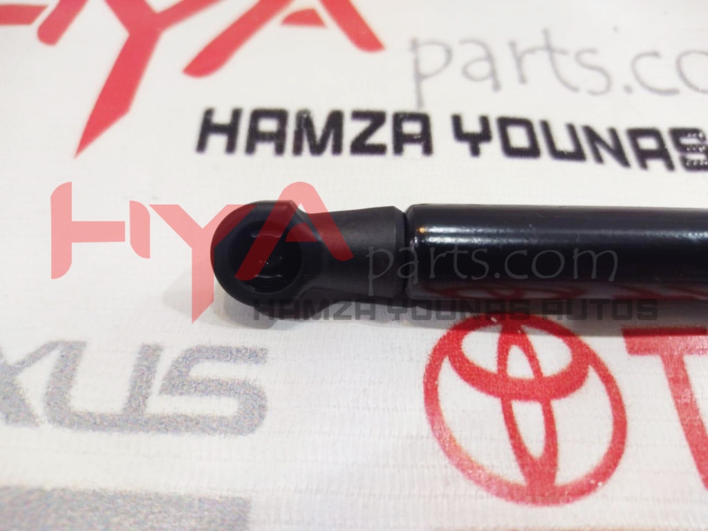 SUPPORT ASSY, LUGGAGE COMPARTMENT DOOR