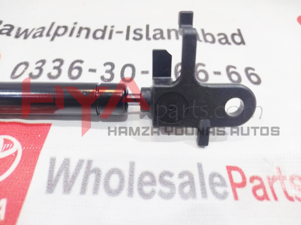 SUPPORT ASSY, LUGGAGE COMPARTMENT DOOR