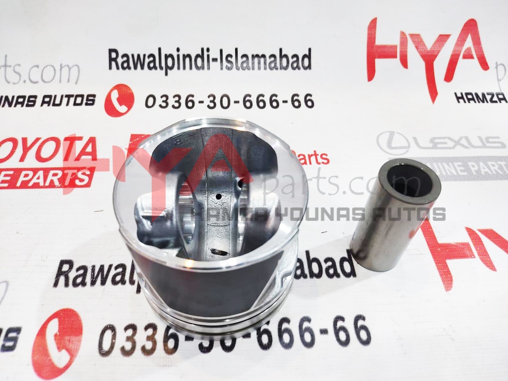 PISTON SUB-ASSY, W/PIN