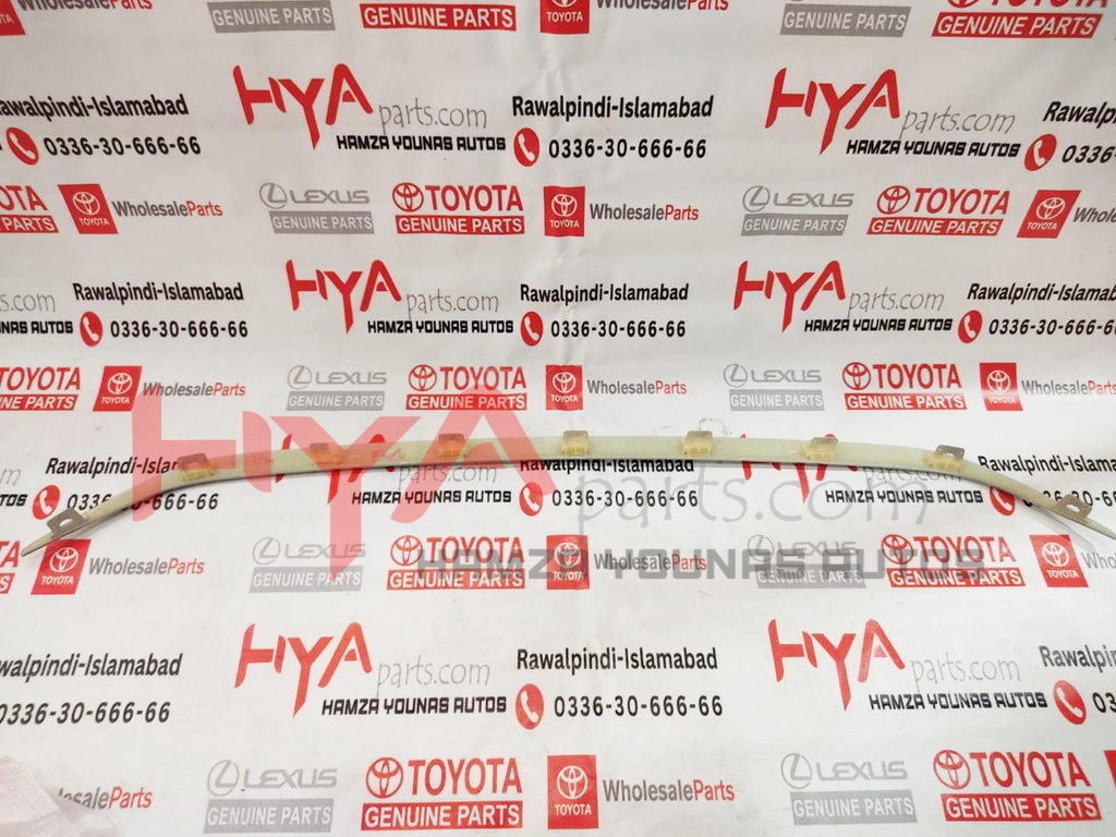 MOULDING, RADIATOR GRILLE