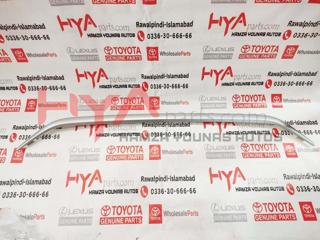 MOULDING, RADIATOR GRILLE