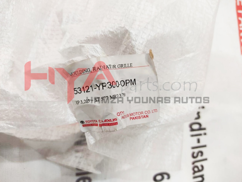 MOULDING, RADIATOR GRILLE