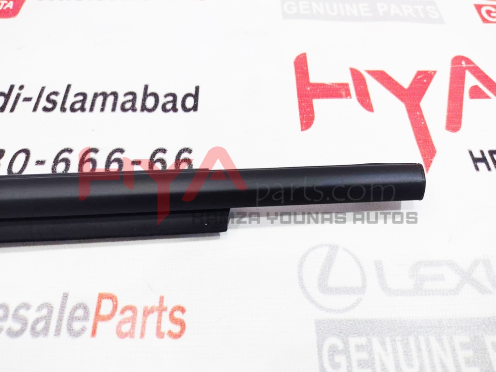 MOULDING ASSY, REAR DOOR BELT, LH