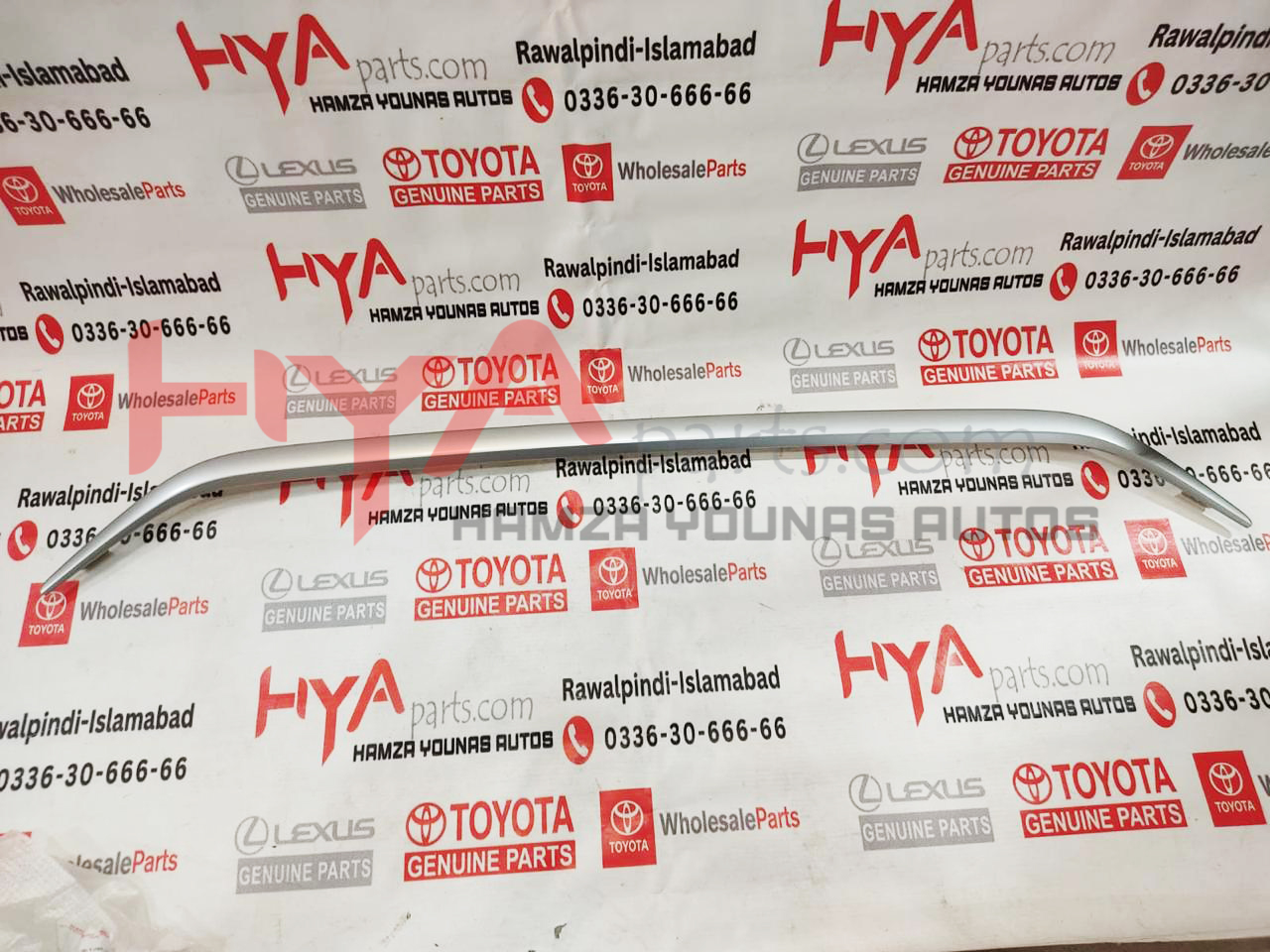 MOULDING, RADIATOR GRILLE