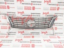 GRILLE, RADIATOR (FRONT SHOW GRILL)