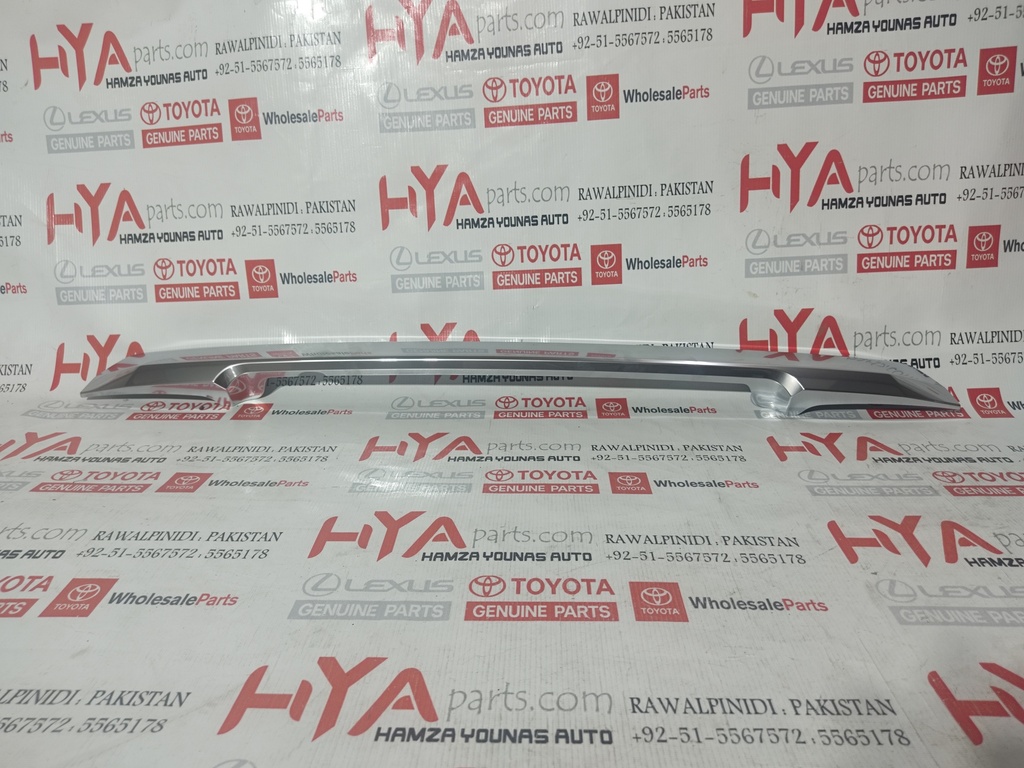 GARNISH SUB-ASSY, BACK DOOR, OUTSIDE