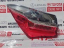 LENS &amp; BODY, REAR COMBINATION LAMP, LH (BACK LIGHT)