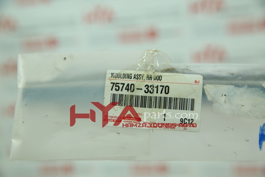 MOULDING ASSY, REAR DOOR BELT, LH