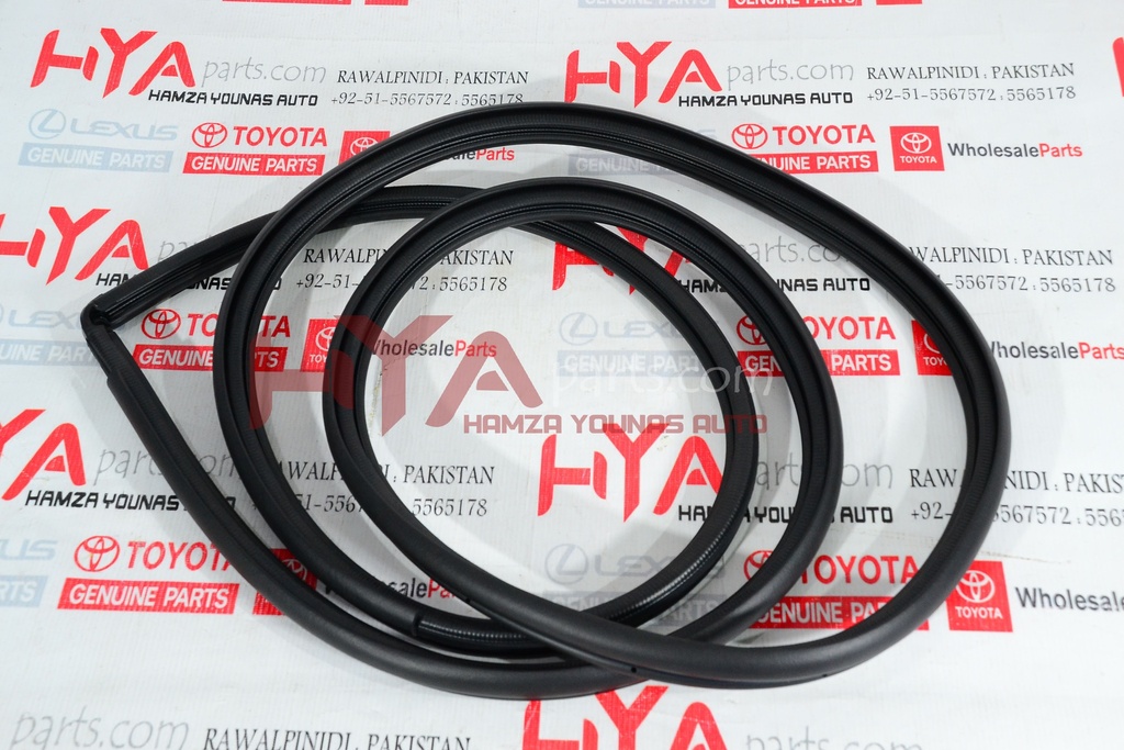 WEATHERSTRIP, FRONT DOOR OPENING TRIM, RH