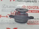 CUSHION SUB-ASSY, REAR END BODY MOUNTING, UPPER