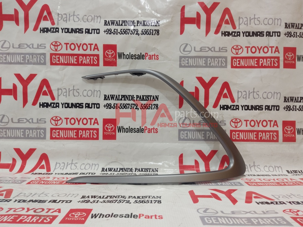 MOULDING, FRONT BUMPER SIDE, LH