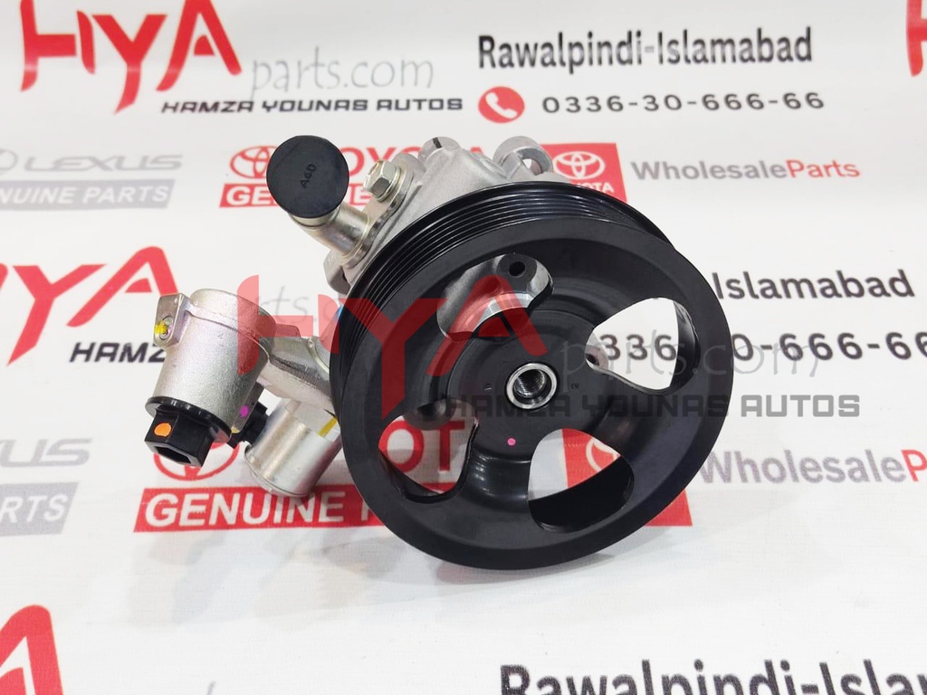 PUMP ASSY, VANE (POWER STEERING PUMP)