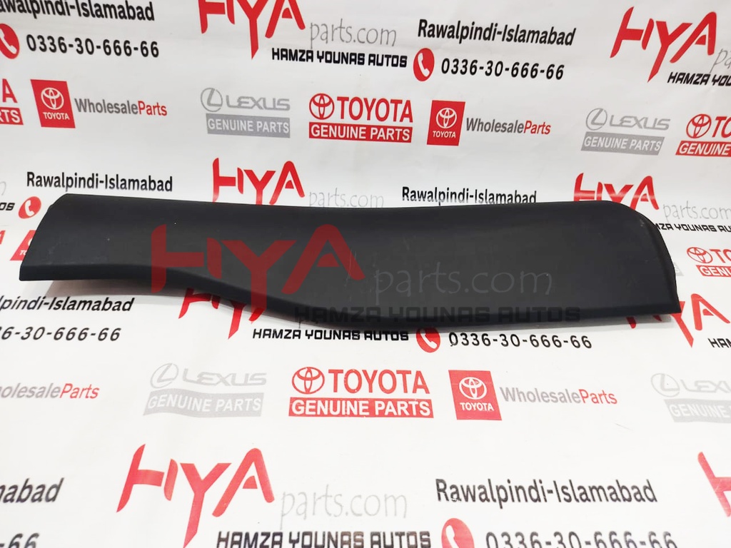 MOULDING SUB-ASSY, RR DOOR, OUTS LWR LH 