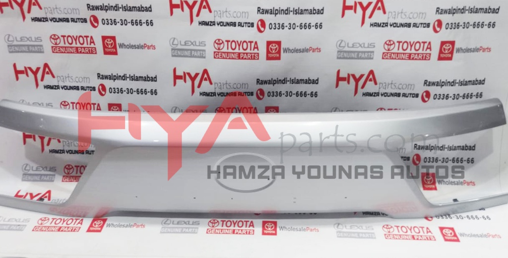 GARNISH SUB-ASSY, BACK DOOR, OUTSIDE