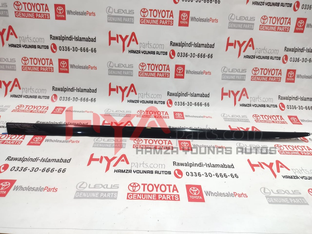 MOULDING, FR DOOR , LH LX 570