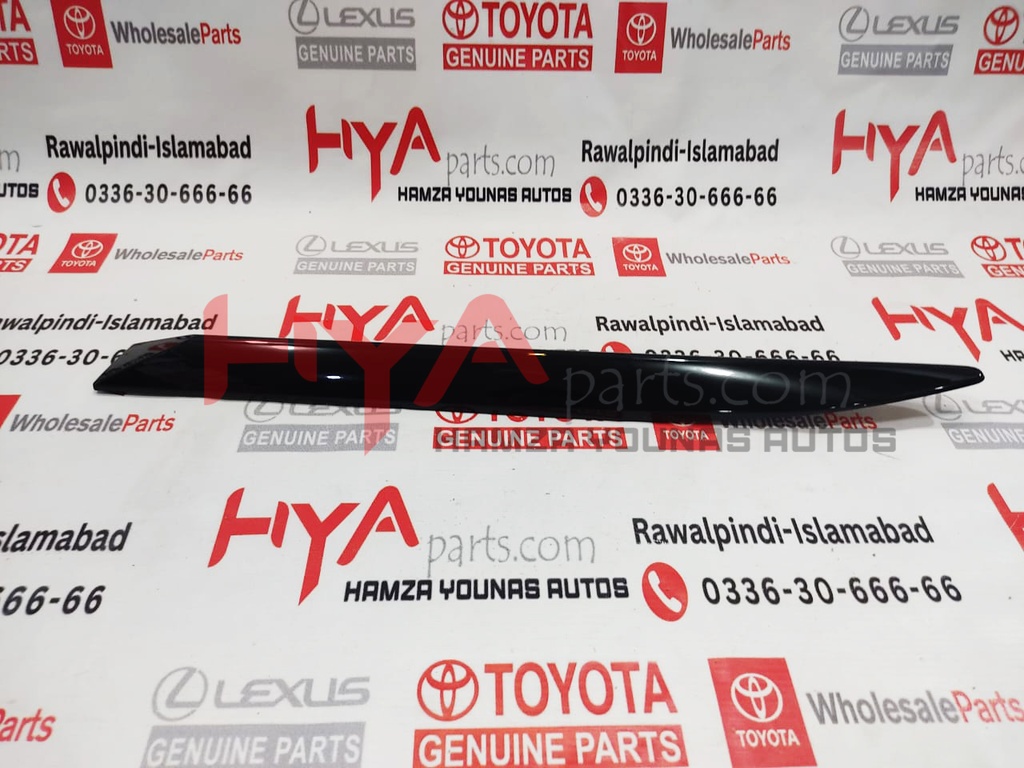 MOULDING, RR DOOR , RH LX 570