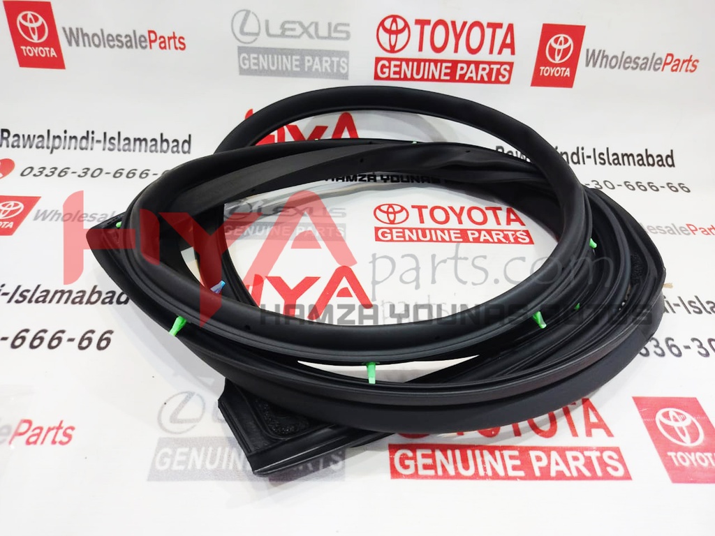 WEATHERSTRIP, REAR DOOR, RH
