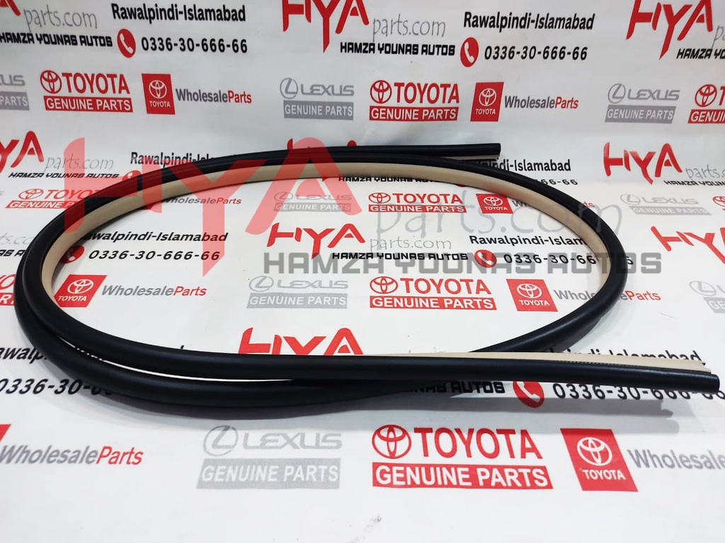 WEATHERSTRIP, FRONT DOOR OPENING TRIM, RH