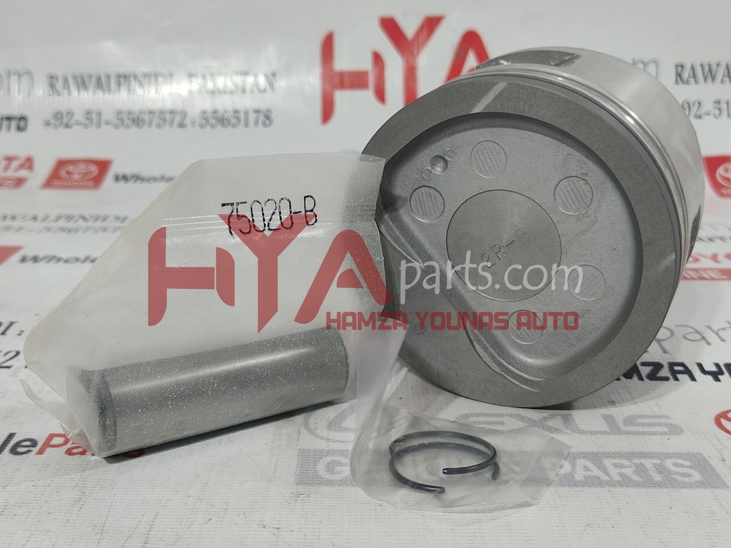 PISTON SUB-ASSY, W/PIN (SIZE : 0.50)