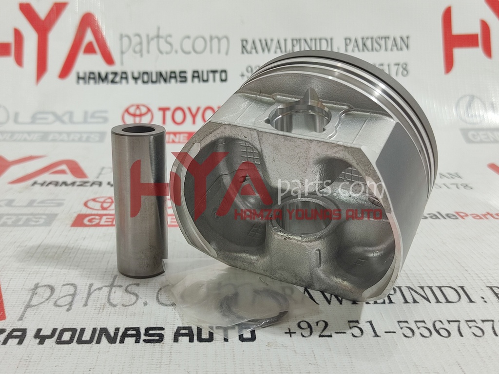 PISTON SUB-ASSY, W/PIN, LH