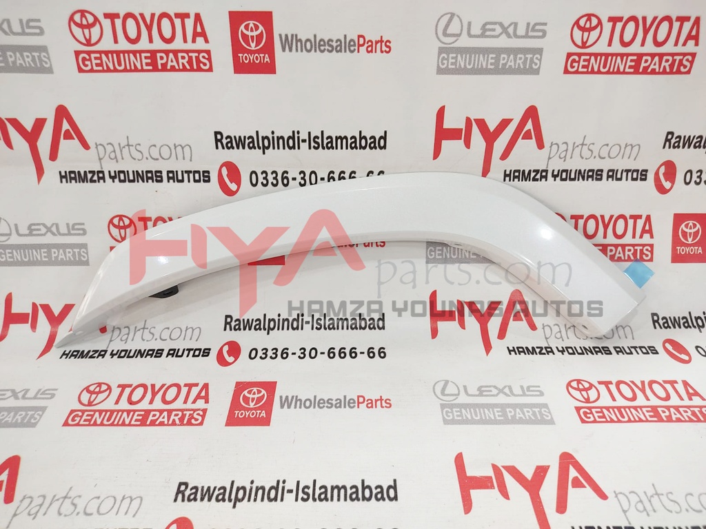 MOULDING SUB-ASSY, REAR DOOR OUTSIDE LOWER LH