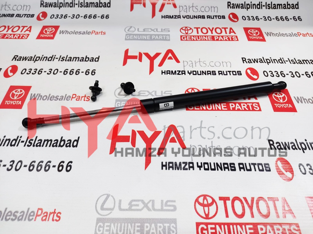 SUPPORT ASSY, HOOD, LH