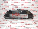 GRILLE SUB-ASSY, RADIATOR, LWR