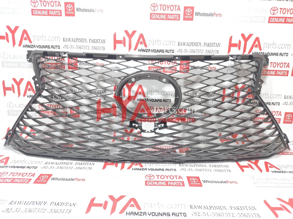 GRILLE, RADIATOR (FRONT SHOW GRILL)