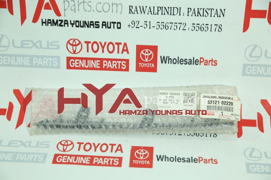 MOULDING, RADIATOR GRILLE, NO.1