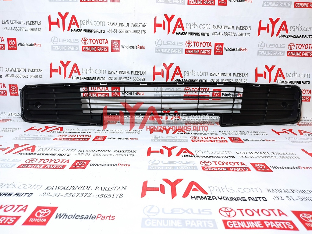 MOULDING, RADIATOR GRILLE, LOWER RH