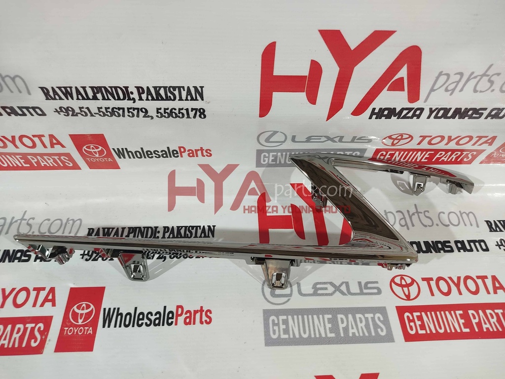 MOULDING, RADIATOR GRILLE, LOWER LH