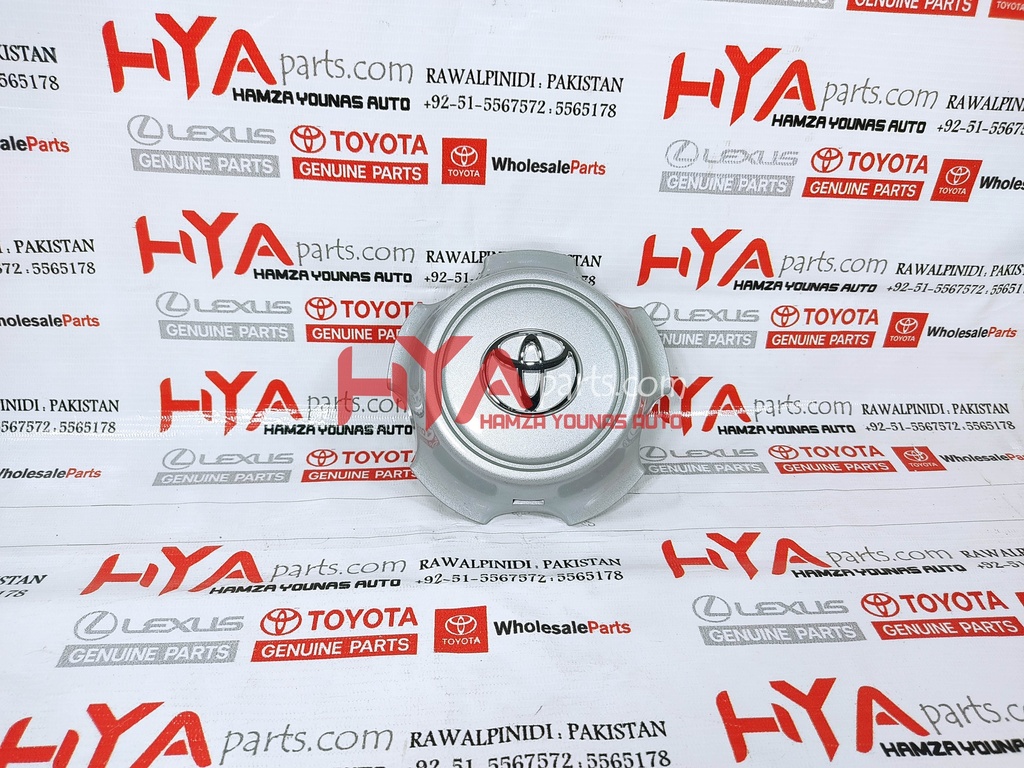 ORNAMENT SUB-ASSY, WHEEL HUB (WHEEL CAP)