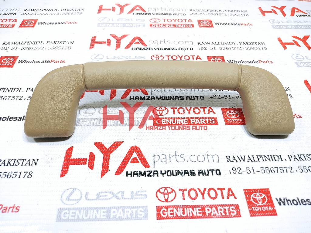 GRIP SUB-ASSY, ASSIST