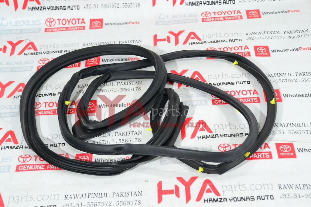 WEATHERSTRIP, FRONT DOOR, RH