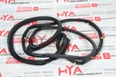 WEATHERSTRIP, FRONT DOOR, RH