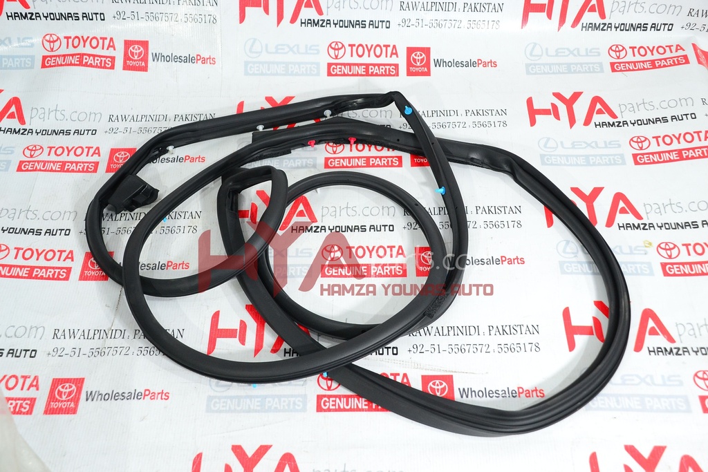 WEATHERSTRIP, FRONT DOOR, RH