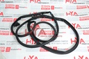 WEATHERSTRIP, FRONT DOOR, RH