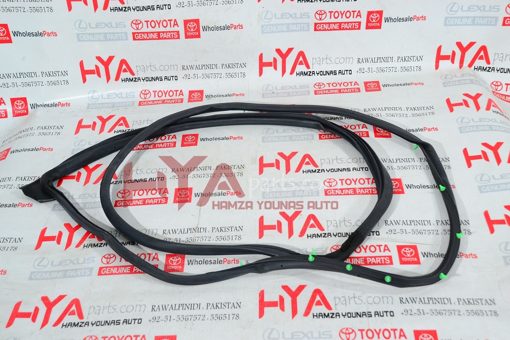 WEATHERSTRIP, REAR DOOR, RH