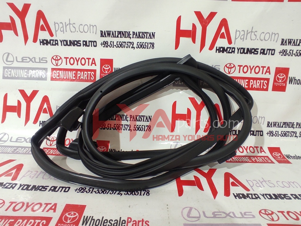 WEATHERSTRIP, REAR DOOR, LH