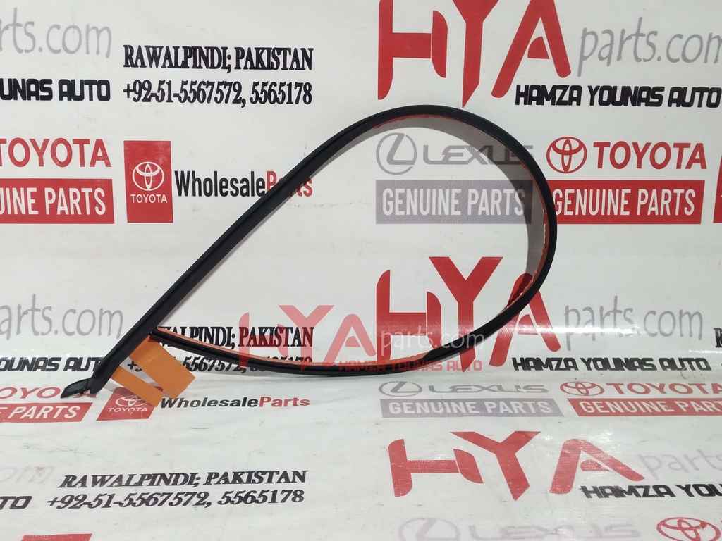 WEATHERSTRIP, REAR DOOR, NO.3 LH