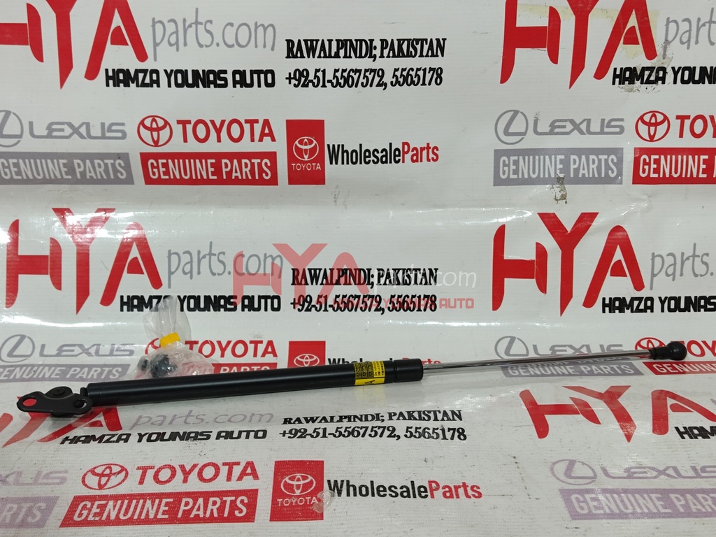 STAY ASSY, BACK DOOR, LH