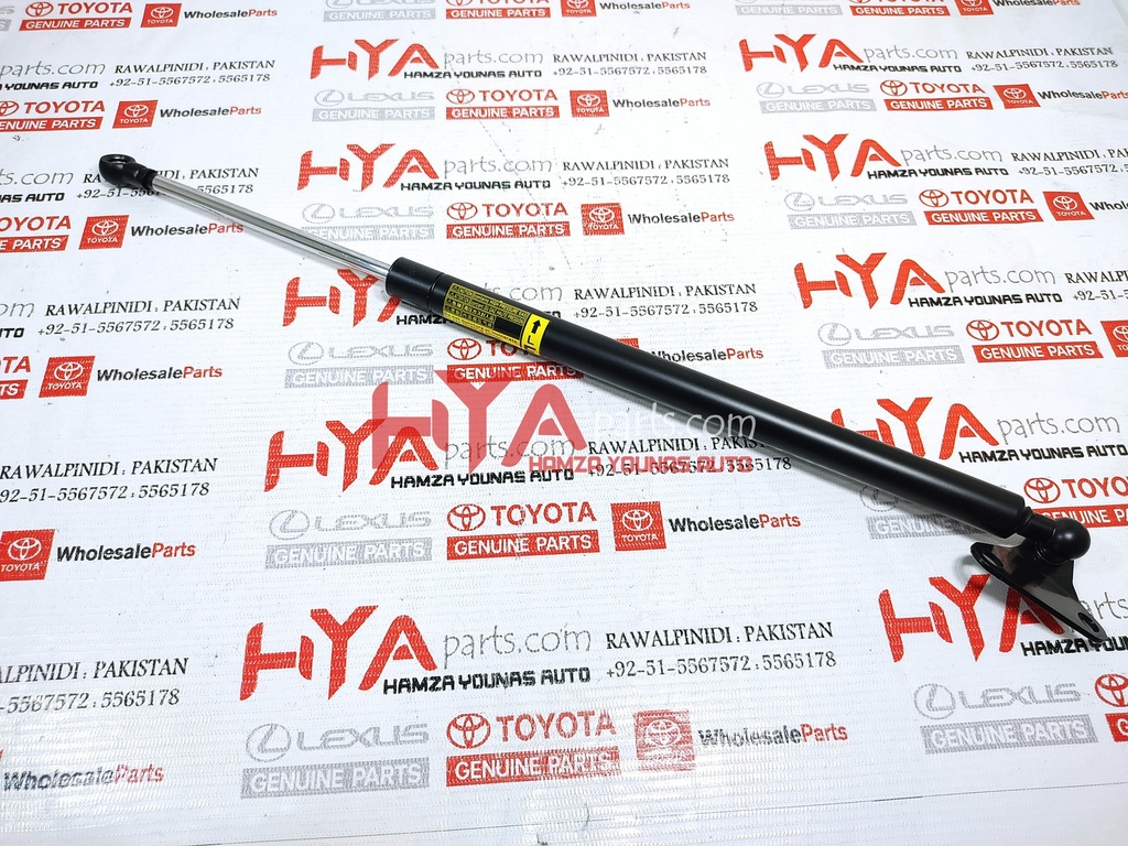 STAY ASSY, BACK DOOR, LH