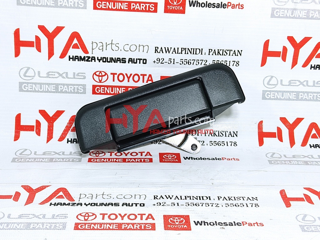 HANDLE ASSY, TAIL GATE