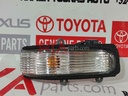 LAMP ASSY, SIDE TURN SIGNAL, RH