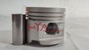 PISTON SUB-ASSY, W/PIN (SIZE : STD)
